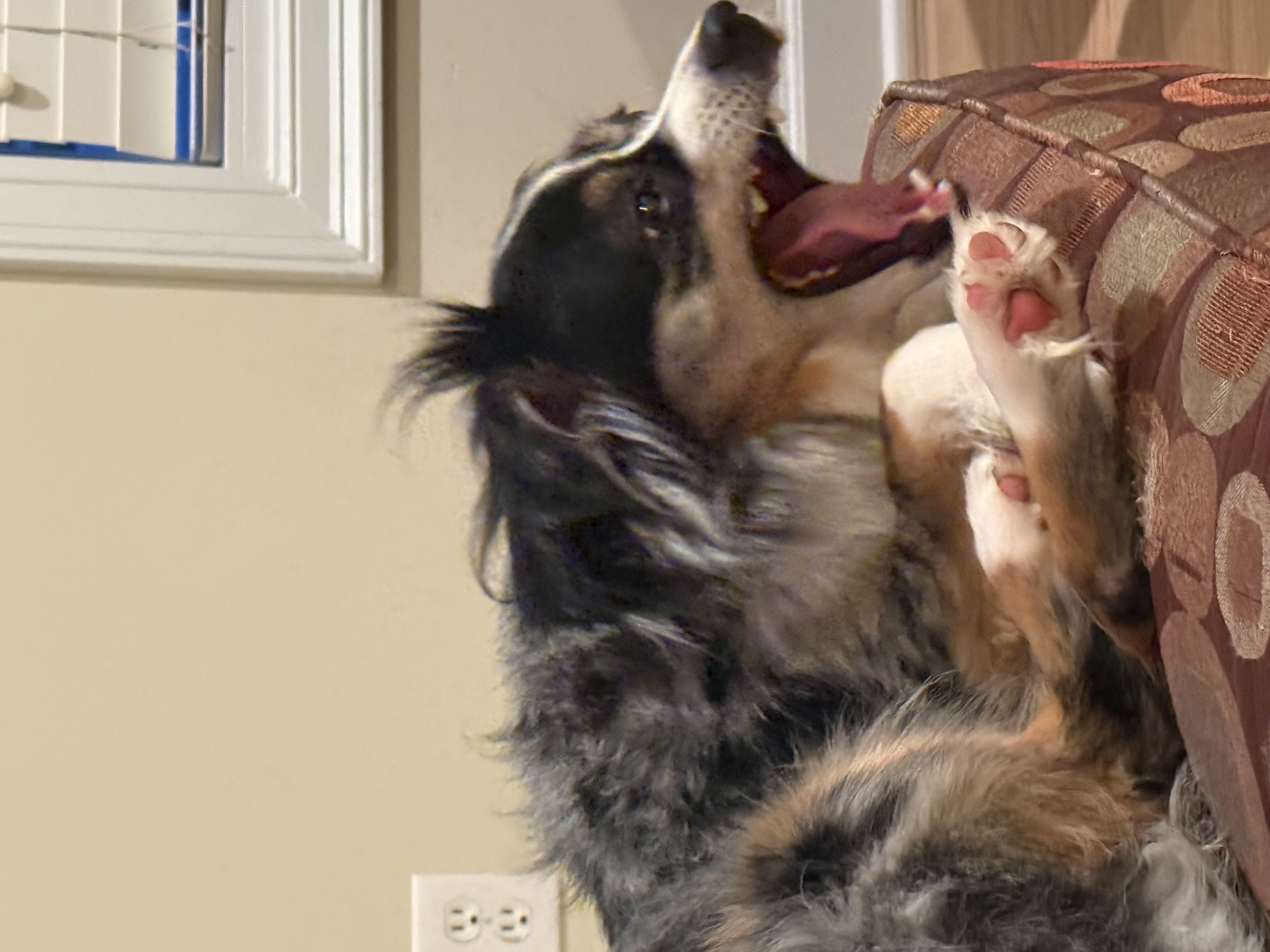 AAAAAAHHHHHHHHH