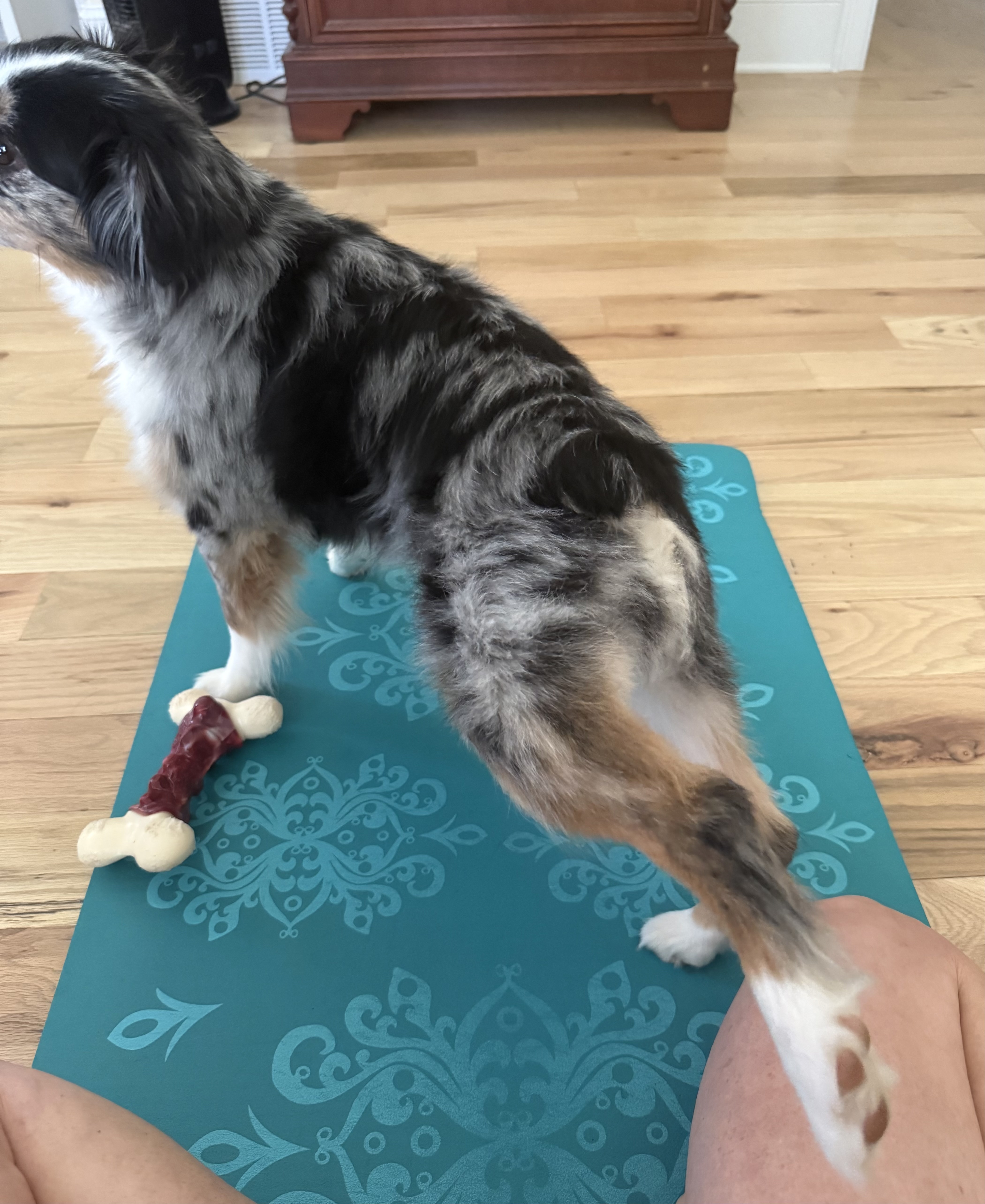 Yoga time!