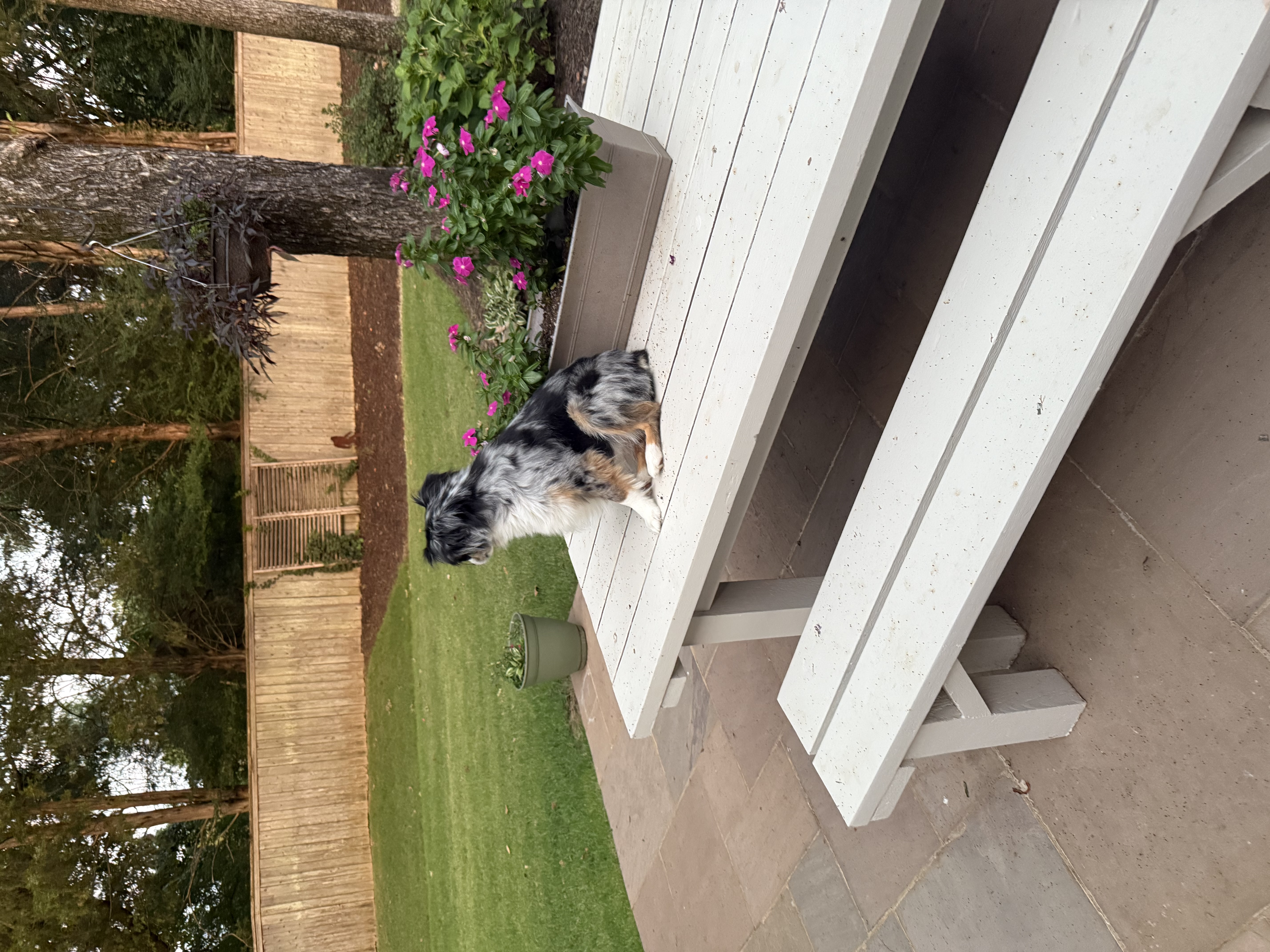 Watching the birds