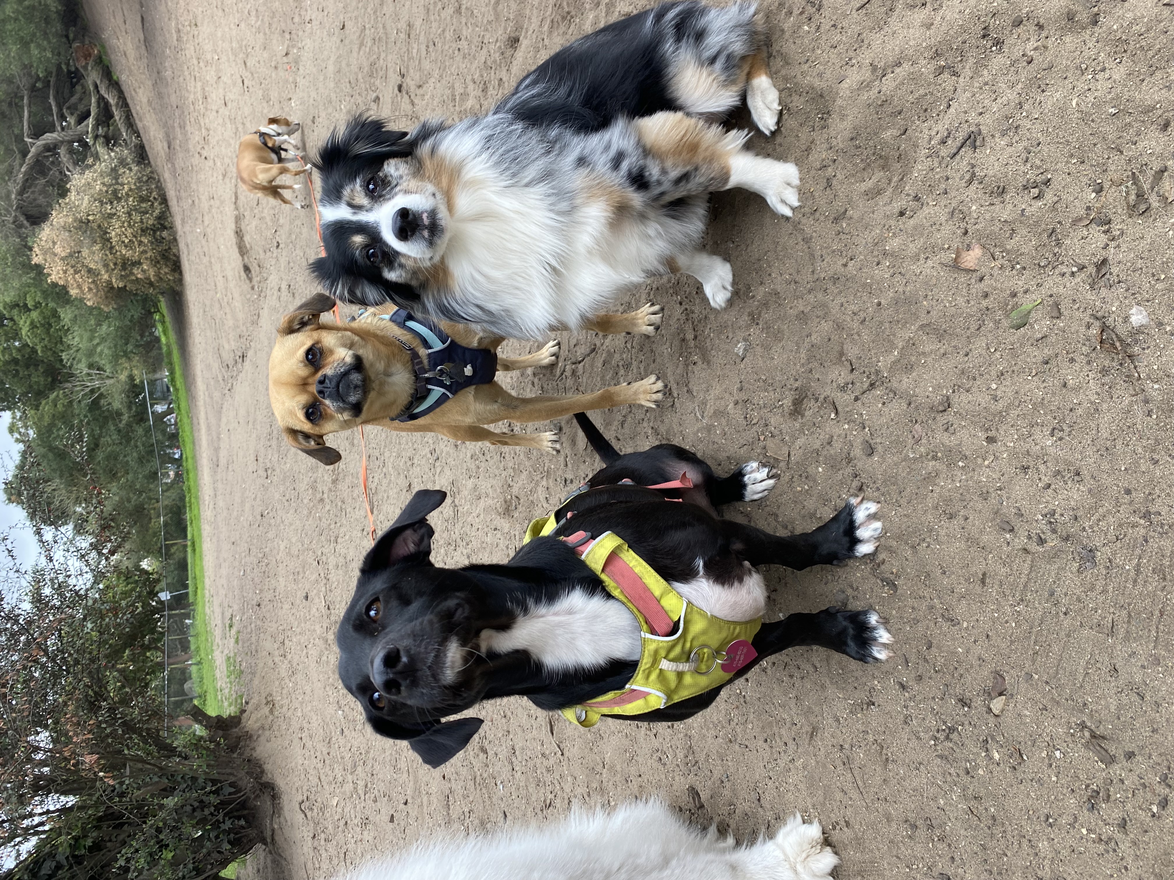 Squad