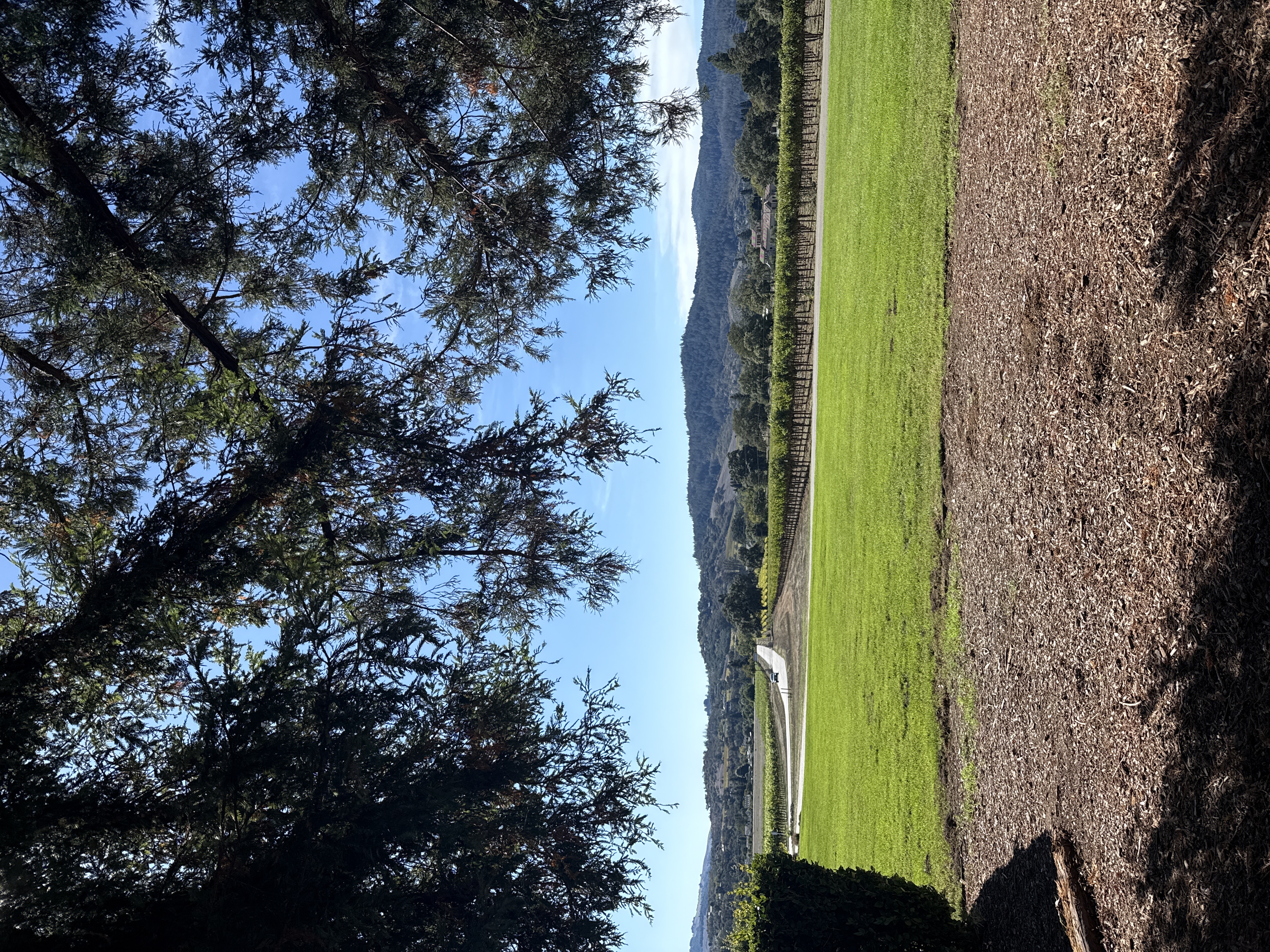 Chateau St. Jean Winery